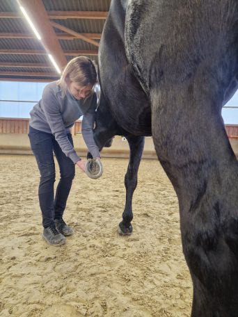 Dein Pferd läuft plötzlich steif?